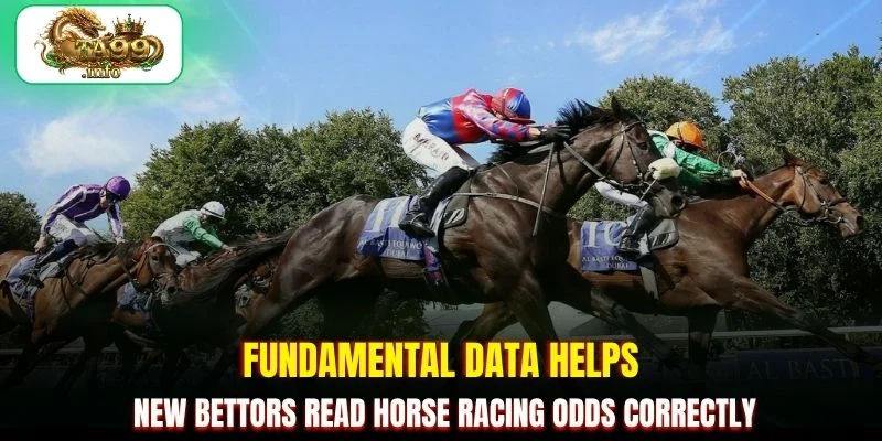 Fundamental data helps new bettors read horse racing odds correctly