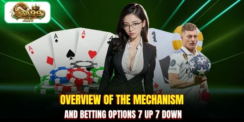 Overview of the mechanism and betting options 7 Up 7 Down