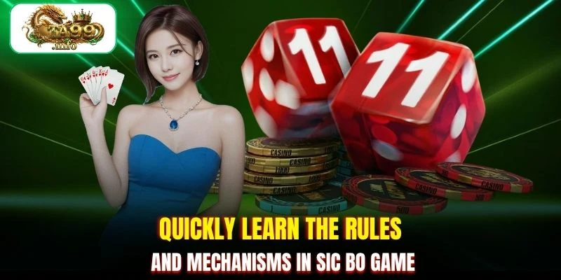 Quickly learn the rules and mechanisms in Sic Bo game